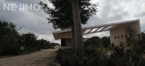 Imagen 3 de 5 de Terreno En Venta En Privada En Zona Norte De Mérida Muy Cerca De La Paya Ie