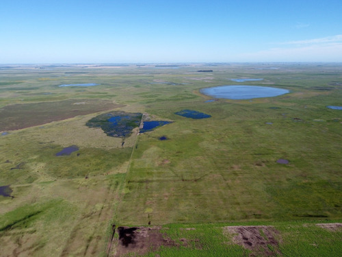 Imagen 2 de 14 de Excelente Campo De Explotación Mixta 681ha En General Pinto
