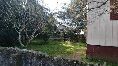 Imagem 6 de 6 de Terreno - Naspoline - Ref: 34818 - V-34815