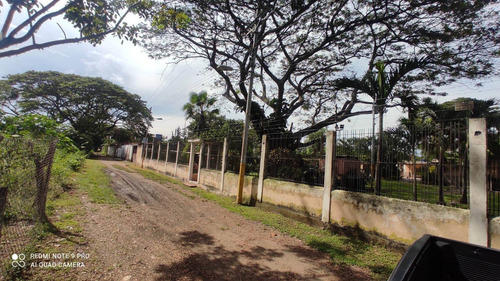 Imagen 2 de 14 de Venta Mini Granjas La Consolacion Pozo Planta Cod. 164898 Cesar Laurentin