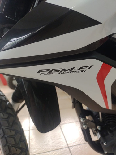 Imagen 4 de 19 de Honda Xr 190 L 0km Moto Delta Tigre