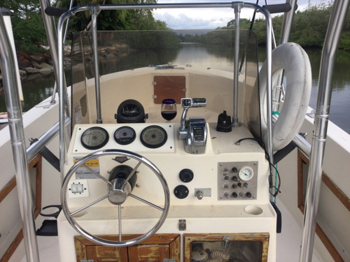 Lancha En Puerto Vallarta. Motor Mercury 150 Hp 2010. 