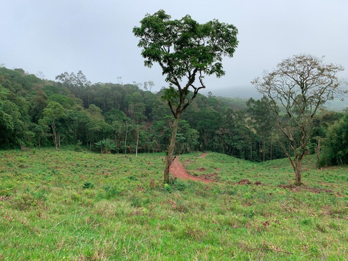 Imagem 10 de 14 de F01- Terrenos 1.000m2 Apenas 10 Lotes No Valor De 29,000