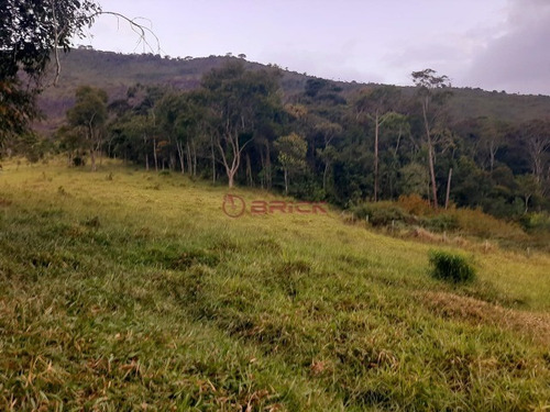 Imagem 26 de 30 de Fazenda Com 1milhão De M² No Vale Alpino. - Fa00024 - 69449575