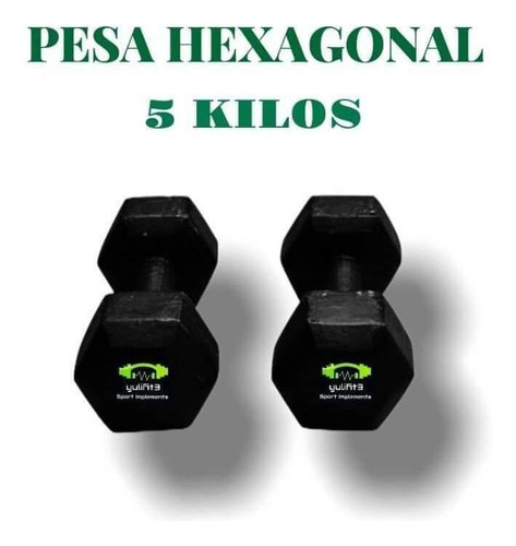 Pesas 5 Kilos (par) 