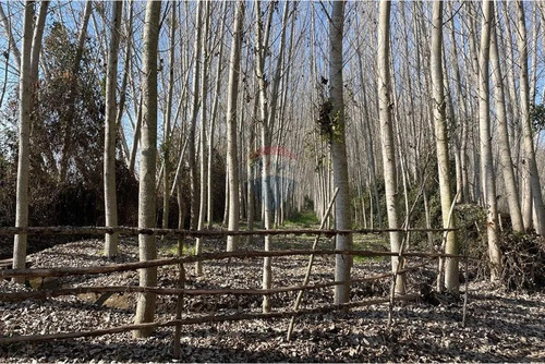 Venta De Terreno, Cuesta De Idahue, Coltauco