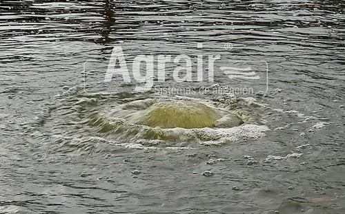 Imagen 5 de 5 de Disco Difusor De Burbuja Fina De 9 Pulgadas Membrana En Epdm