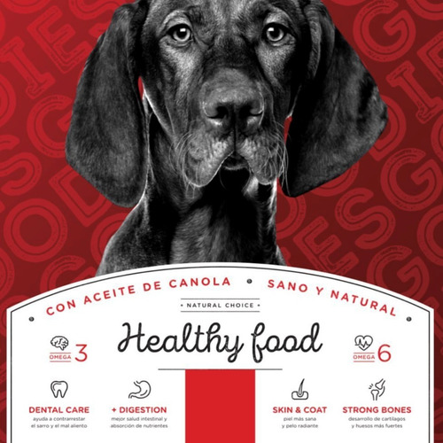 Imagen 4 de 10 de Alimento Balanceado Premium Perro Goodies 10kg Bolsa Grande