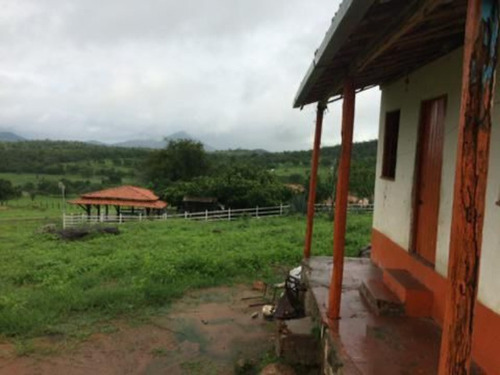 Imagem 2 de 9 de Fazenda Com 214 Tarefas A Venda Em Tanquinho - Afd007 - 70220002