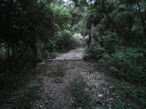 Imagen 2 de 11 de Venta De Rancho En Ciudad Valles, San Luis Posoti