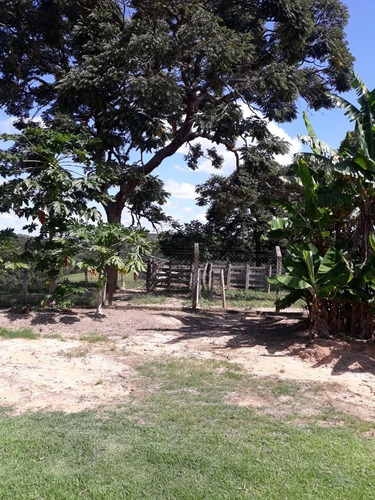 Imagem 17 de 30 de Sítio 4,5 Alqueires Facil Acesso,agua Corrente E De Poço,casa Boa,bem Cercado,bem Cuidado - Ch00073 - 69447576