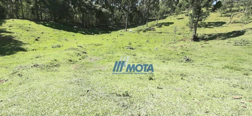Chácara A Venda Bocaiuva Do Sul Com 2 Alqueires, Casa Mista , Galinheiro, Toda Formada Em Pastagem, Com Nascente, Cercada, Com Linda Vista! - Ch0208