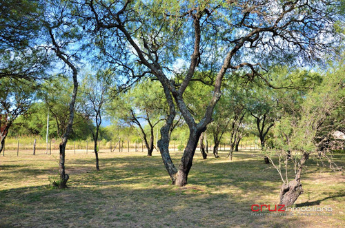 Imagen 6 de 14 de Lote 1045m2, Venta, Cerro De Oro, Villa De Merlo, San Luis
