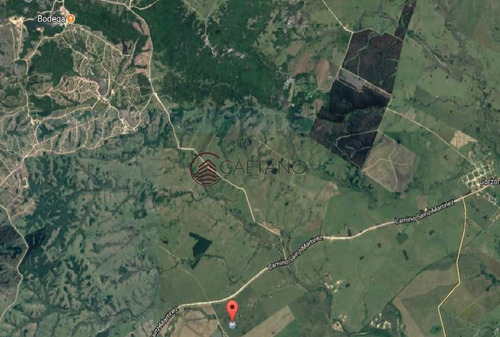 Imagen 2 de 4 de Excelente Campo De 113 Hectáreas Ubicado En Garzón - Garzón