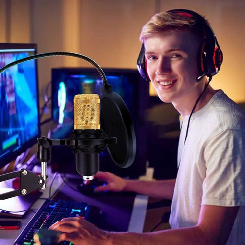 Microfono Condensador Profesional Usb Estudio Podcast Pop
