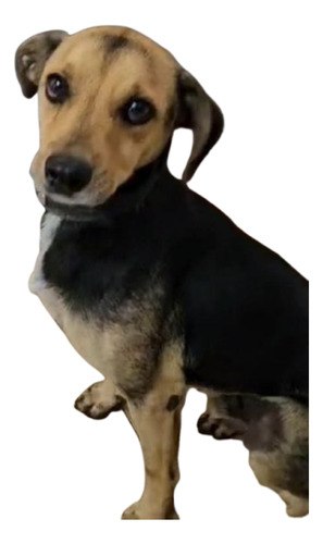 Minguito, Chico De Tamaño, 3 Añitos, Pura Alegría Y Amor. !!