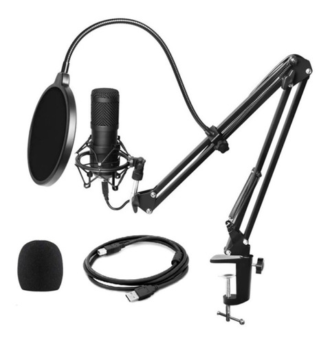 Imagen 1 de 2 de Microfono Condensador Profesional Usb Estudio Podcast Pop