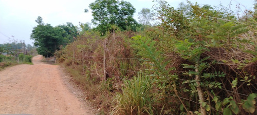 Terreno En Renta De Terreno A Pie De Carretera En Sebastopol Tuxtepec Oaxaca