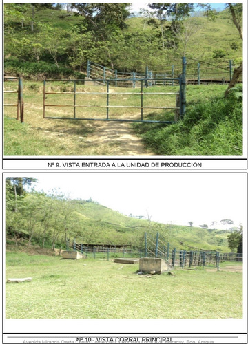 Venta De Finca Ganadera De 1000 Hectareas, Facil Acceso En Nirgua Yaracuy (salom)2