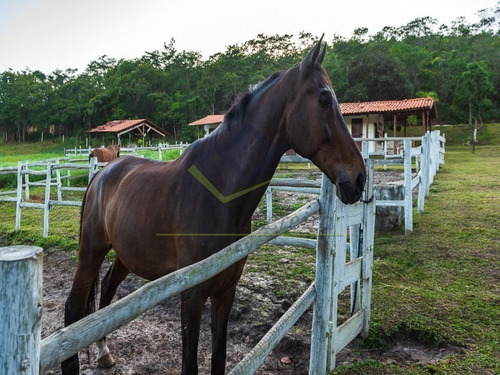 Imagem 14 de 30 de Hotel Fazenda Zona Rural, Santo Antônio Do Descoberto - Go - Fa00001 - 70140136