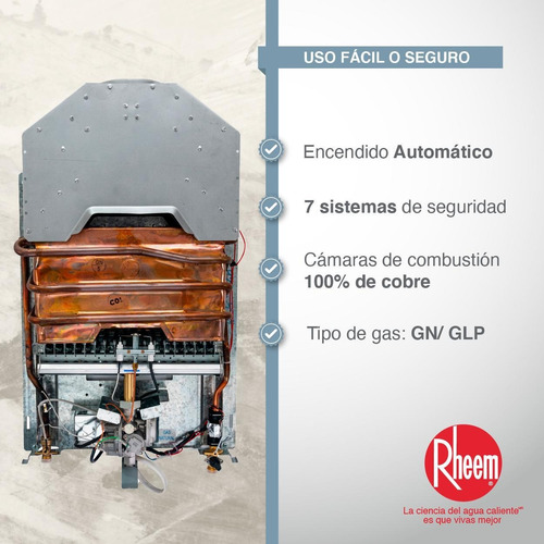 Calentador Para Jacuzzi 16lt Gas Natural Tiro Natural Rheem