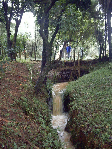 Imagem 3 de 9 de Chácara À Venda Em Dois Córregos - Ch000720