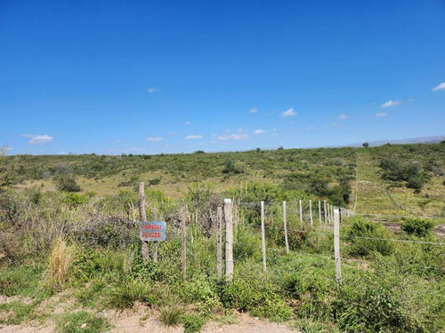 Venta Campo 9 1/4 Hectáreas- Villla Parque Siquiman (punilla).