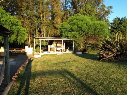 Casa - Punta Ballena. Venta. 5.983 M2 De Terreno