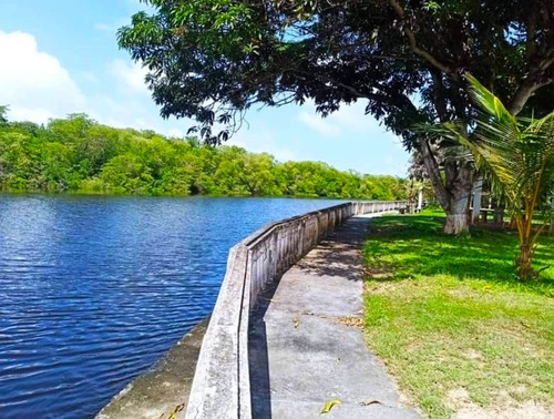 Imagen 16 de 18 de Apartamento En Venta Urb Náutica Río Chico