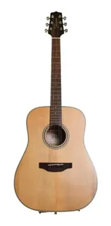 Guitarra Acustica Takamine Gd20 Ns