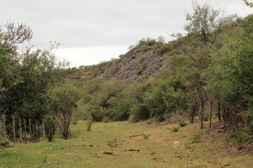 Campo De 1828 Has En Lafinur - San Luis