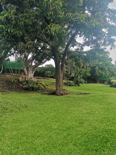 Imagen 4 de 14 de Casa En Condominio En Jardines De Cuernavaca / Cuernavaca - Maz-881-cd