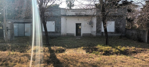 Campo - La Rubia
