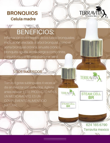 Célula Madre Br