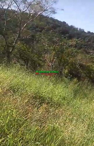 Imagem 7 de 10 de Chácara Em Monteiro Lobato - 2010