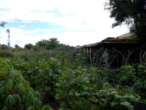 Campo Con Casa, Molino Y Tanque Australiano En Ojo De Agua.