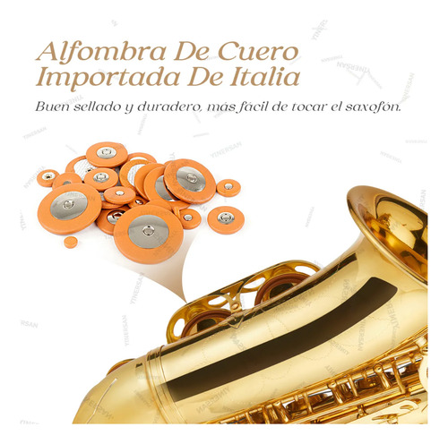 Saxofón Alto En Mi Bemol Para Principiantes Y Adultos 66cm Dorado