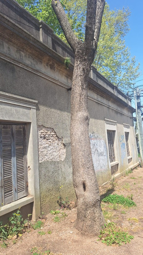 Casas 5 En Total Ideal Inversores O Más De Una Familia