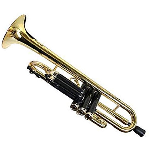 Trompeta De Plástico Tp1gd, Dorada