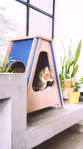 Imagen 6 de 10 de Rascador Para Gatos ¡diseño Exclusivo!