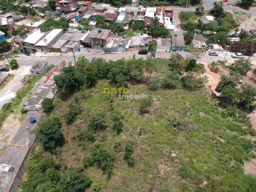 Imagem 10 de 10 de Terreno Para Venda Em Santana De Parnaíba, Chácara Do Solar Ii (fazendinha) - 20905_1-1749387