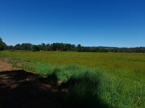 Se Vende Hermoso Campo En La Unión