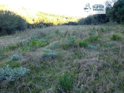 Imagem 7 de 13 de Chácara A Venda No Bairro Cascata Em Pelotas - Rs. - 1343-1