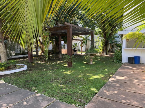 Casa En Renta Con Extenso Terreno Ideal Para Negocio Con Amplia Palapa