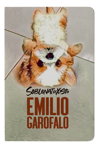 Soblenatuxisto, de Garofalo Neto, Emilio. Editorial Vida Melhor Editora S.A, capa mole em português, 2022