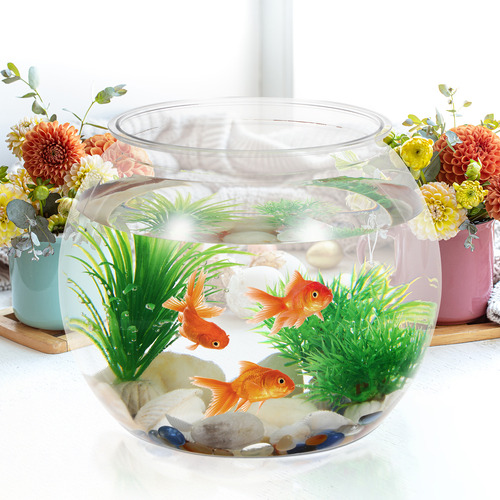 Acuario Redondo Transparente Con Pequeños Recipientes Para P