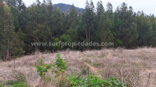Se Venden Dos Sitios De 870 Mt2 En Pichilemu