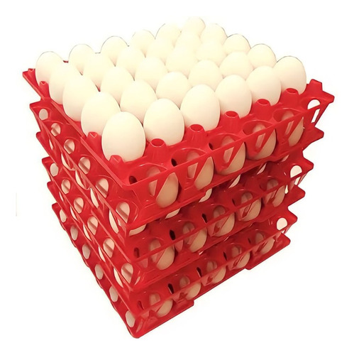 Cubeta Bandeja Plástica Para Huevos Incubación X10 Unidades 
