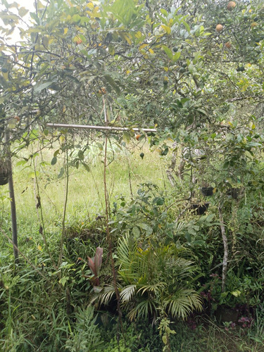 Chácara Com Casa