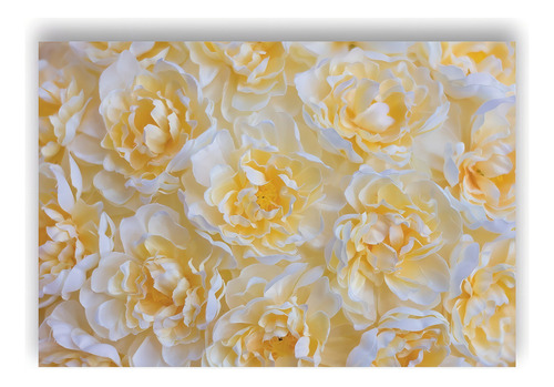 Fondo fotográfico - Flores de color amarillo claro - 2.20 x 1.50